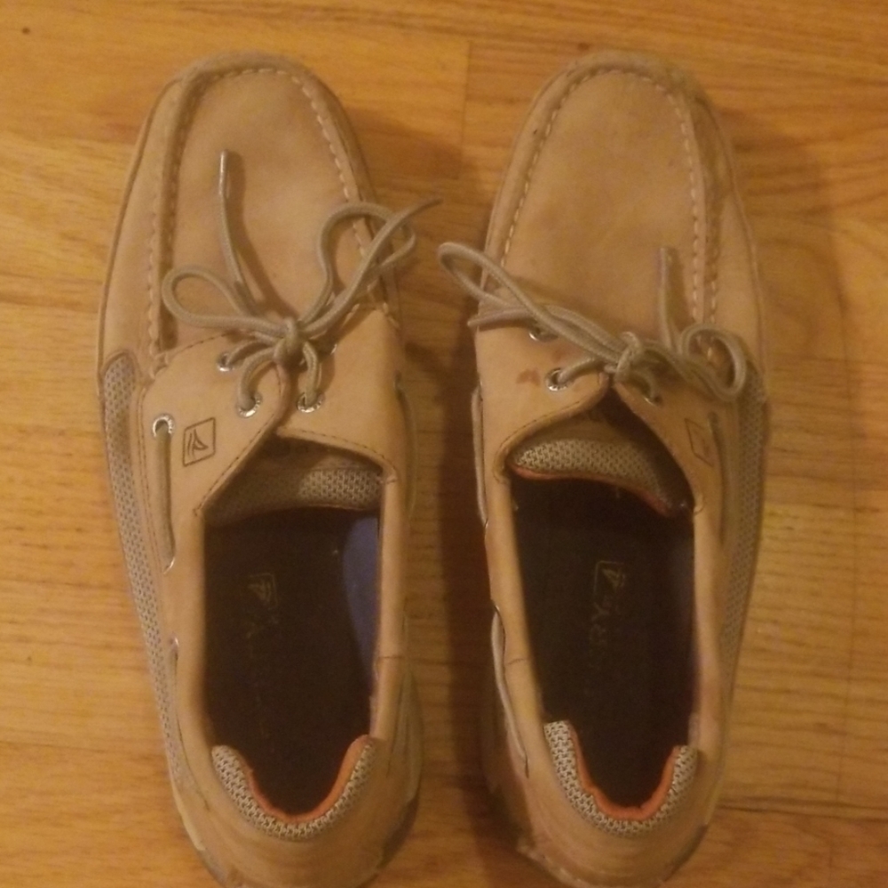 Men's sperry